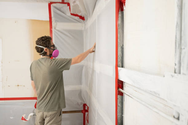 Best Attic Mold Removal  in Rock Island, IL