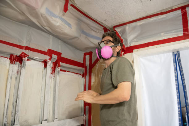 Trusted Rock Island, IL Mold Removal Experts